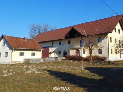 Bauernhaus kaufen in 4722 Peuerbach