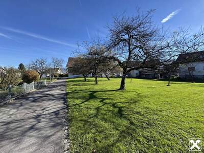 Grundstück kaufen in 6890 Lustenau