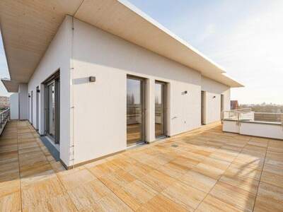 Terrassenwohnung kaufen in 2700 Wr. Neustadt (Bild 4)