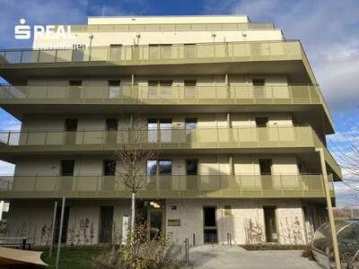 Wohnung mieten in 1210 Wien