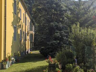 Altbauwohnung mieten in 2103 Langenzersdorf (Bild 2)