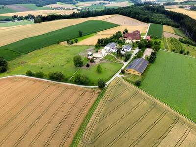 Gewerbeobjekt kaufen in 4600 Gunskirchen (Bild 1)