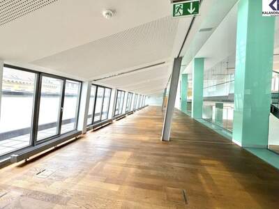 Gewerbeobjekt mieten in 1010 Wien (Bild 4)