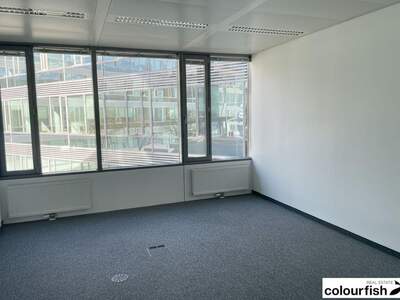 Gewerbeobjekt mieten in 1110 Wien (Bild 5)