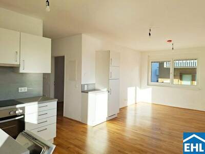 Terrassenwohnung mieten in 1120 Wien (Bild 4)