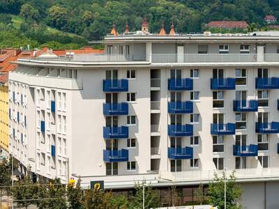 Wohnung mieten in 8020 Graz