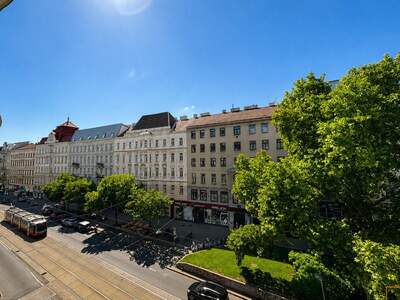 Altbauwohnung mit Balkon mieten in 1090 Wien (Bild 4)