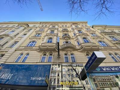 Gewerbeobjekt mieten in 1060 Wien (Bild 1)