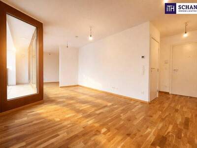 Terrassenwohnung mieten in 1230 Wien (Bild 3)