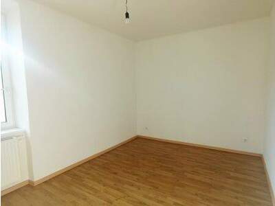 Wohnung mieten in 2565 Neuhaus (Bild 4)