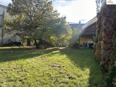 Immobilie kaufen in 2620 Neunkirchen