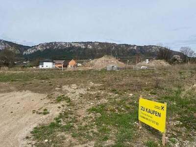 Grundstück kaufen in 2724 Hohe Wand