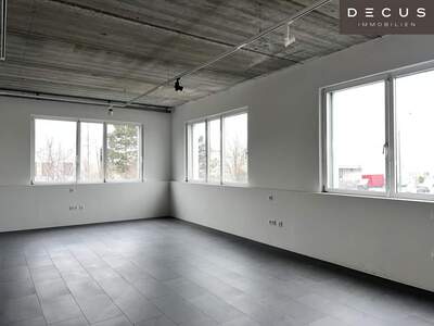 Gewerbeobjekt mieten in 1230 Wien