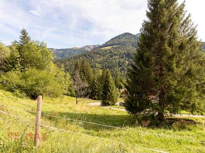 Grundstück kaufen in 6850 Dornbirn (Bild 1)