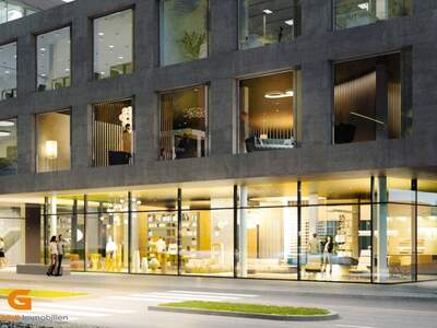 Gewerbeobjekt kaufen in 5020 Salzburg