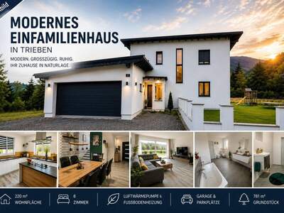 Haus kaufen in 8784 Trieben