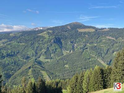 Gewerbeobjekt kaufen in 9020 Klagenfurt