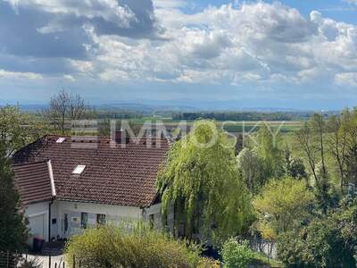 Grundstück kaufen in 4311 Schwertberg (Bild 4)