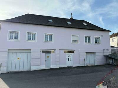 Anlageobjekt kaufen in 7021 Gemeinde Draßburg (Bild 4)