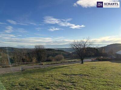 Grundstück kaufen in 8045 Weinitzen (Bild 5)