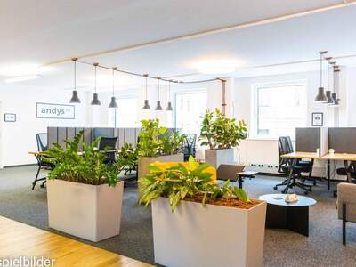 Gewerbeobjekt mieten in 1010 Wien (Bild 5)