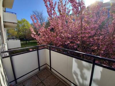 Wohnung provisionsfrei mieten in 1110 Wien