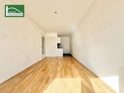 Terrassenwohnung mieten in 8020 Graz (Bild 1)