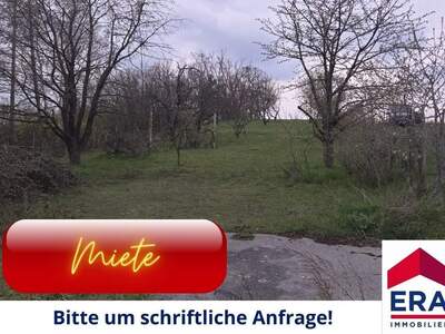 Grundstück mieten in 2130 Mistelbach