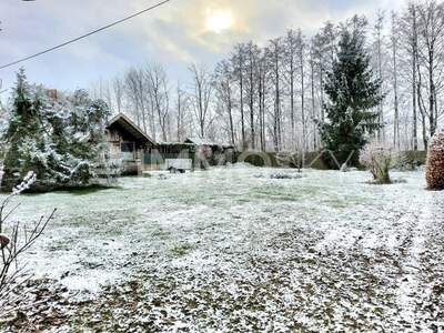 Grundstück kaufen in 4073 Wilhering (Bild 1)