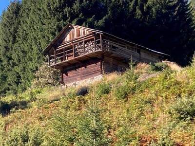 Haus provisionsfrei kaufen in 9170 Zell