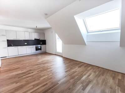Terrassenwohnung mieten in 1230 Wien (Bild 1)