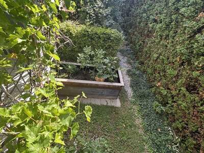 Wohnung mit Balkon mieten in 8055 Graz (Bild 5)