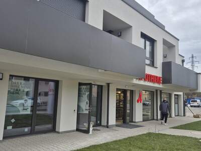 Terrassenwohnung mieten in 1220 Wien (Bild 3)