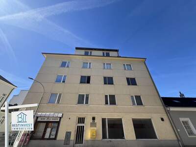 Anlageobjekt kaufen in 2700 Wiener Neustadt (Bild 3)