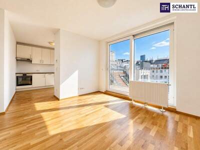 Terrassenwohnung kaufen in 1040 Wien (Bild 2)