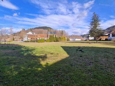 Grundstück kaufen in 4582 Spital (Bild 3)