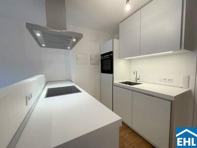 Terrassenwohnung mieten in 1160 Wien (Bild 5)
