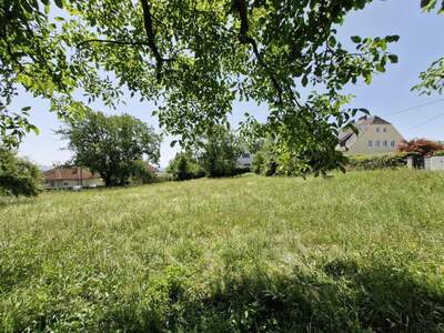 Grundstück kaufen in 4060 Leonding (Bild 3)