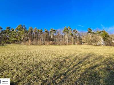 Grundstück kaufen in 2393 Sparbach (Bild 5)