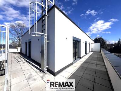 Terrassenwohnung kaufen in 2700 Wr. Neustadt (Bild 5)