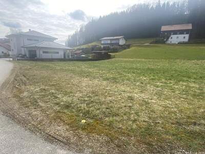 Haus kaufen in 4870 Pfaffing (Bild 3)