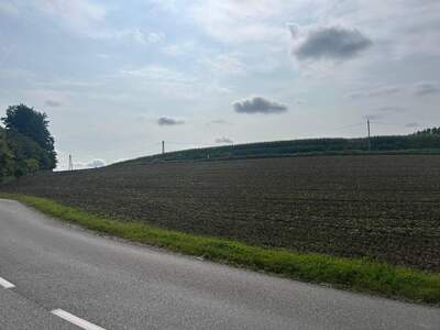 Grundstück kaufen in 4631 Krenglbach