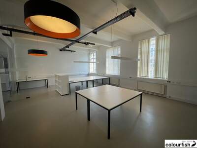 Gewerbeobjekt mieten in 1100 Wien (Bild 4)