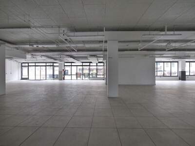 Gewerbeobjekt mieten in 1130 Wien (Bild 5)