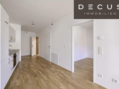 Terrassenwohnung mieten in 2345 Brunn (Bild 5)