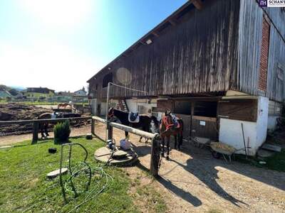 Gewerbeobjekt kaufen in 8570 Stallhofen (Bild 4)