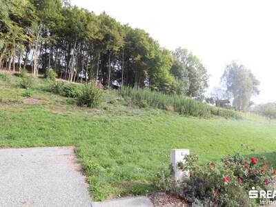 Grundstück kaufen in 9072 Ludmannsdorf (Bild 2)