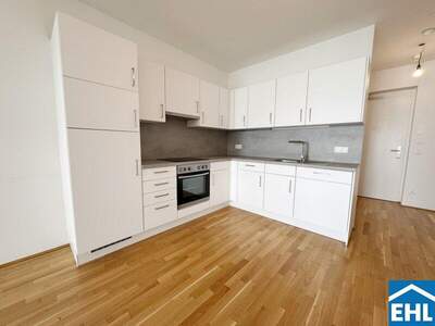 Terrassenwohnung mieten in 1020 Wien (Bild 3)