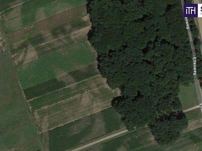 Grundstück kaufen in 8430 Leibnitz (Bild 3)