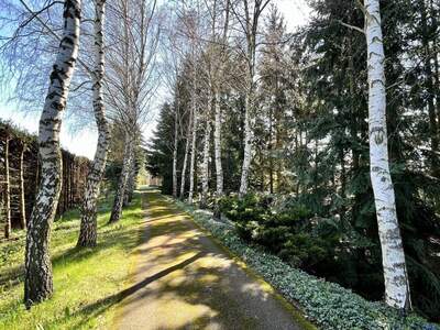 Haus kaufen in 3830 Waidhofen